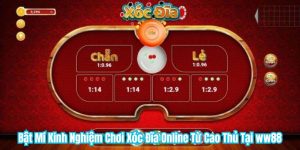 Bật Mí Kinh Nghiệm Chơi Xóc Đĩa Online Từ Cao Thủ Tại WW88