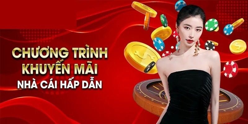 Tận dụng các ưu đãi từ nhà cái